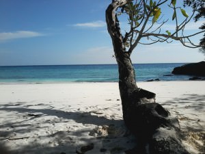 Trauminsel Tachai - Robinsoninsel