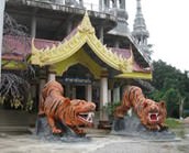 Tigertempel Wat Tham Sua